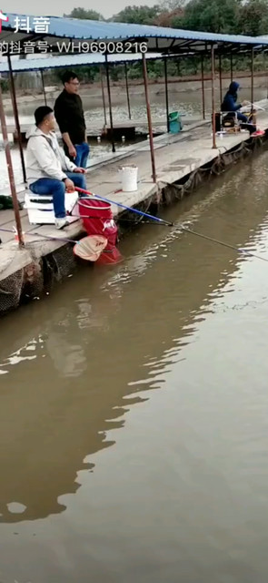 武汉人的钓鱼精神，风雨无阻。