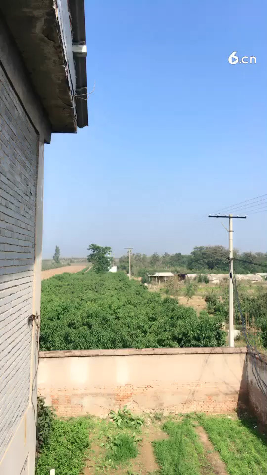 阳光明媚