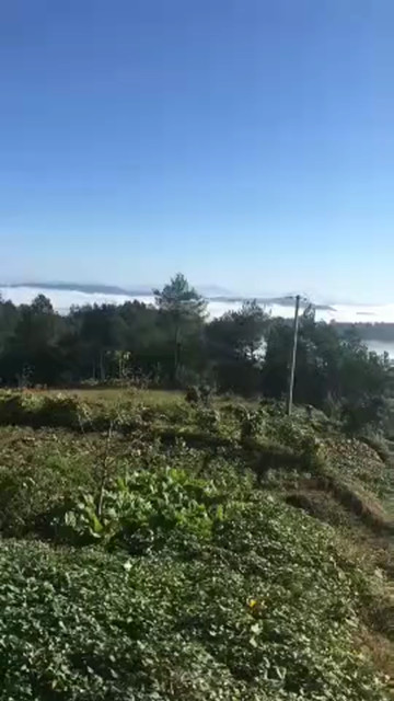 我的家山美景美人不美😂️😂