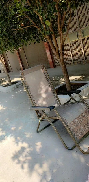 花前阳下，就差一美人