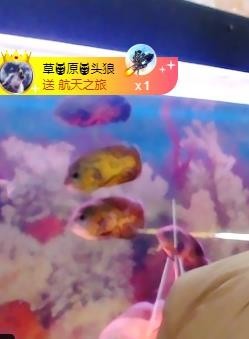 黄老邪-28581主播照片
