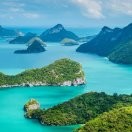 张树君k海报