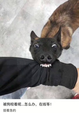 ღ瑋玮主播照片
