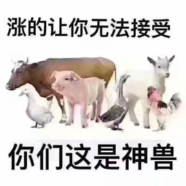 დ释怀დ主播照片
