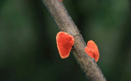 დ释怀დ主播照片