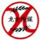 龙吉传媒