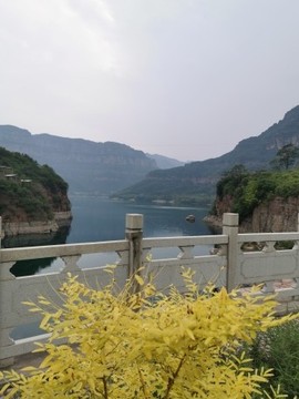 翡翠中特主播照片