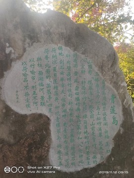 京城少爷🇨🇳敬礼主播照片
