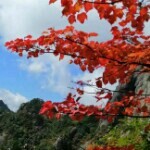 平步青云w5