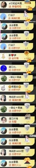 海鸽晚上见主播照片