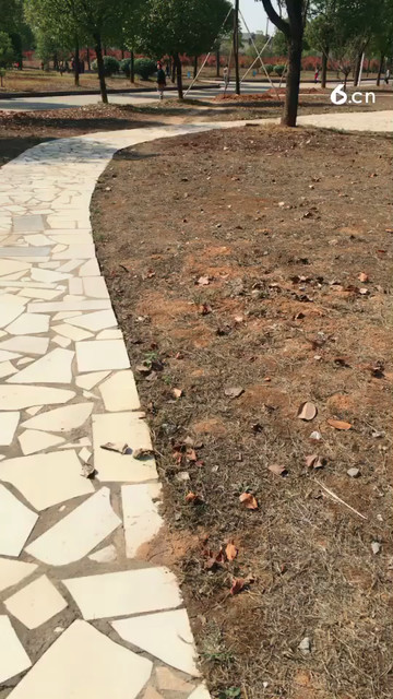 七饭！