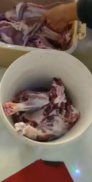 2只羊