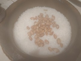 吃货🐽猪猪^O^主播照片