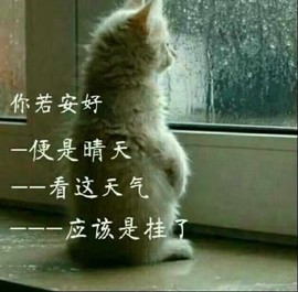 胖砸脚下一滑主播照片