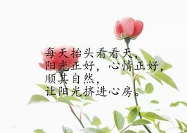 青莲退啦主播照片