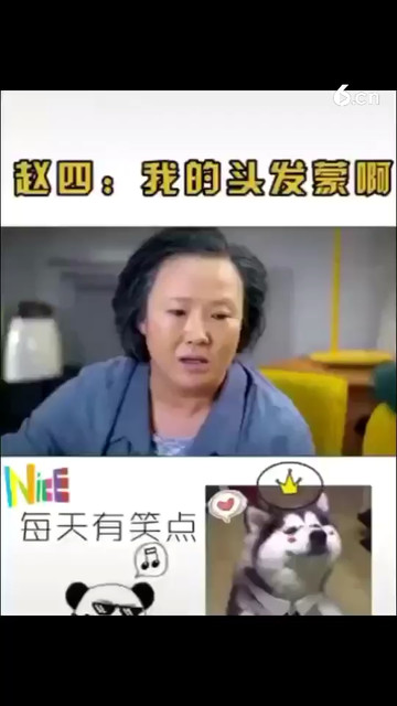 点个关注呗