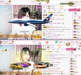一只雁~主播照片