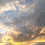心路最难走的路