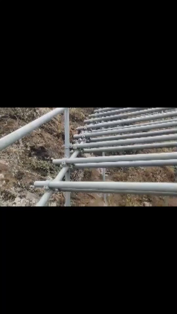 哭了