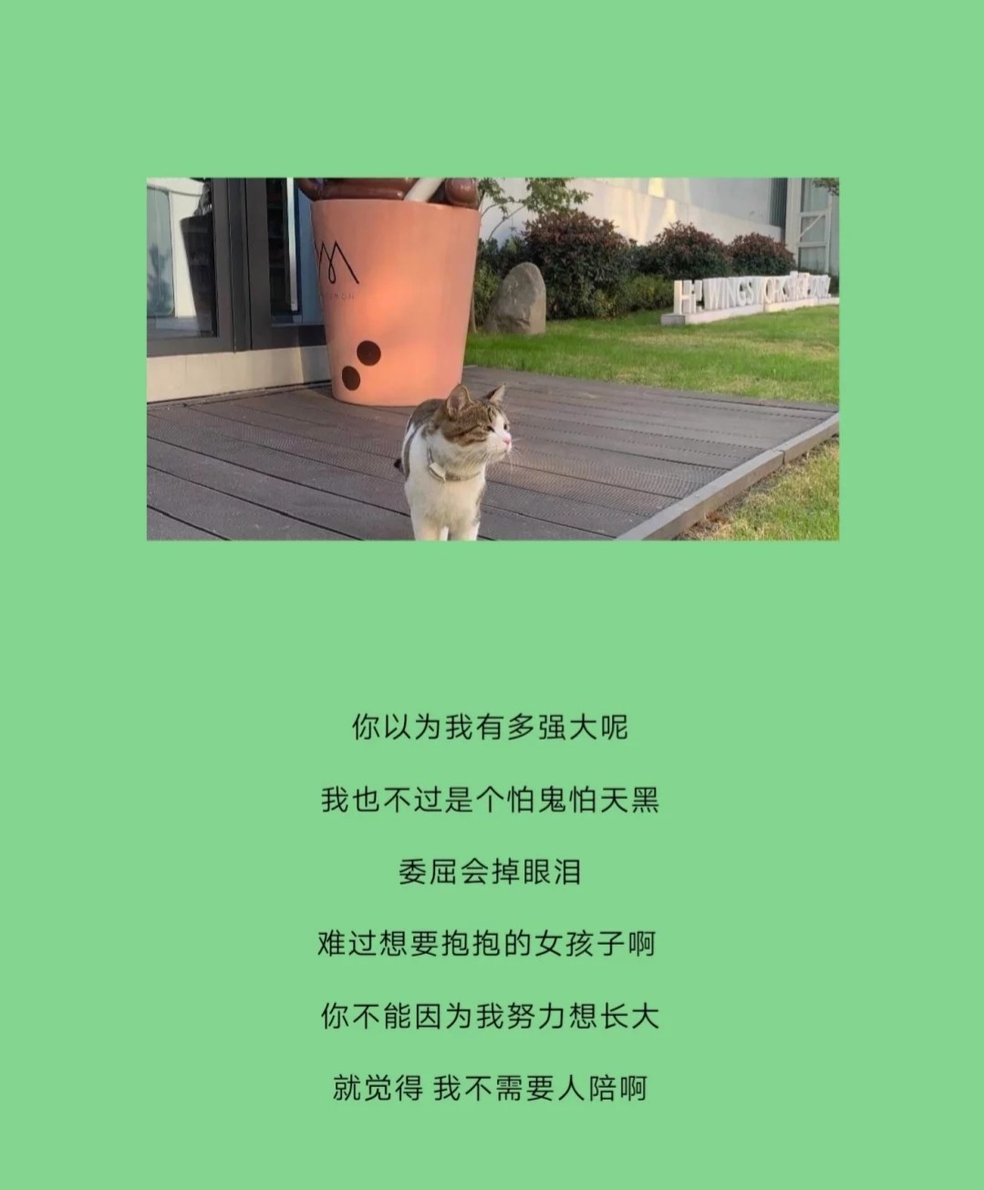 👣鹿🐾的主播照片