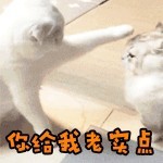 中国製簉！賀氏吊车