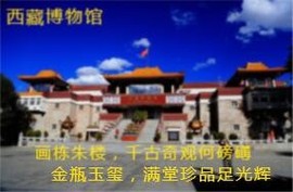 人间某处主播照片