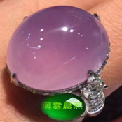 人间某处主播照片