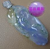 人间某处主播照片
