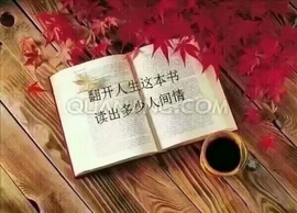 დ释怀დ主播照片