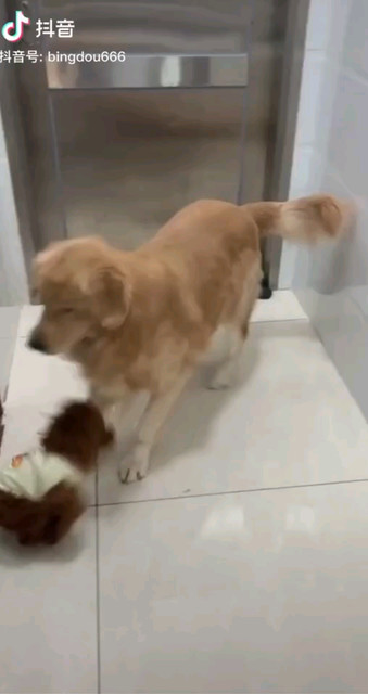 開心一笑