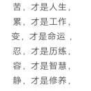 责任担当5海报