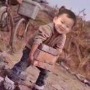 错爰一生，伤