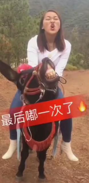 嘚嘚嘚哒哒哒