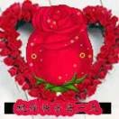 青春年华0r