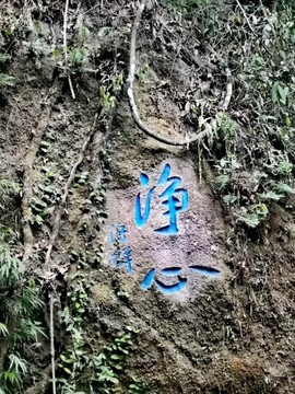京城少爷🇨🇳敬礼主播照片
