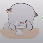 无处安放的灵魂！