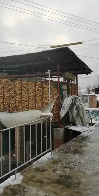 我的家乡