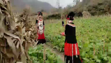 美丽姑娘