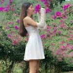 花海～就逛逛