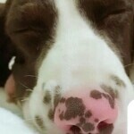 唯爱💋一冉
