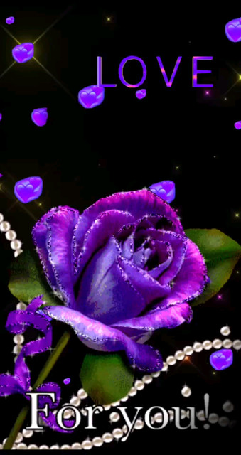 好漂亮的紫色玫瑰花🌹