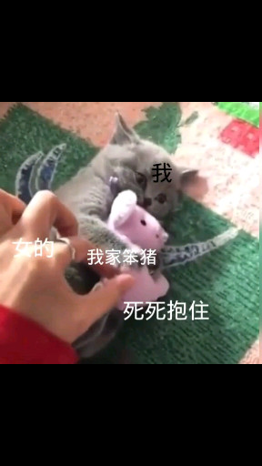 嘿嘿