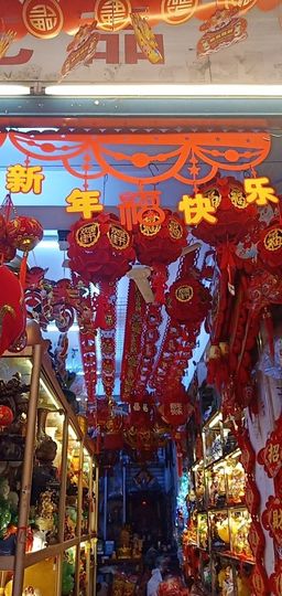 娘子停播主播照片