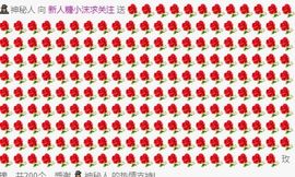 糖小沫沫主播照片