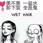 鹰，逆向飞翔