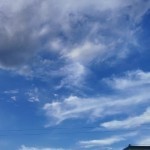 绿草蓝荷海报