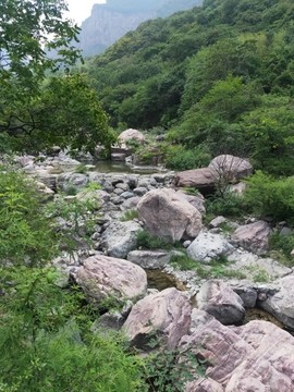 䒕飞棍，来了主播照片