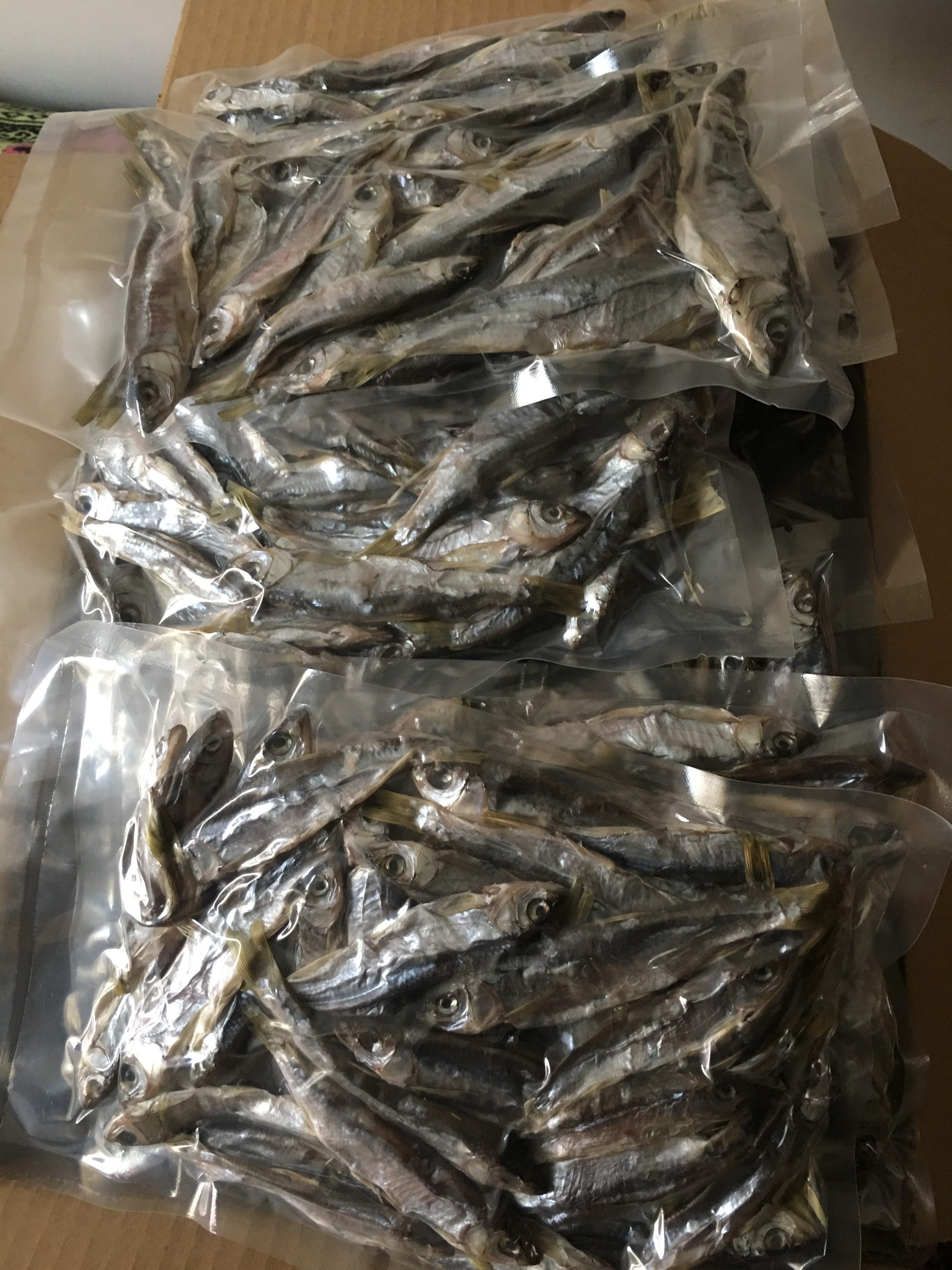 泓一户外的图片
