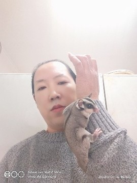 京城少爷🇨🇳敬礼主播照片