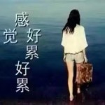 ✨钱💰男友💘